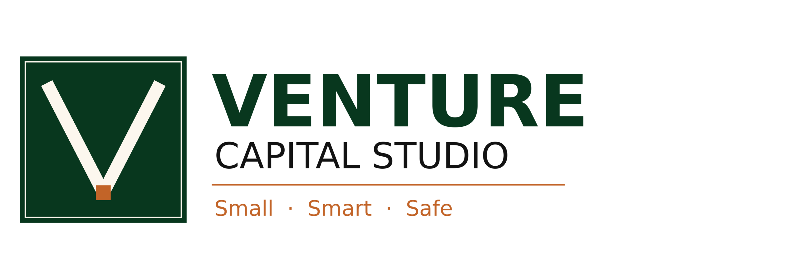 Venture Capital Studio