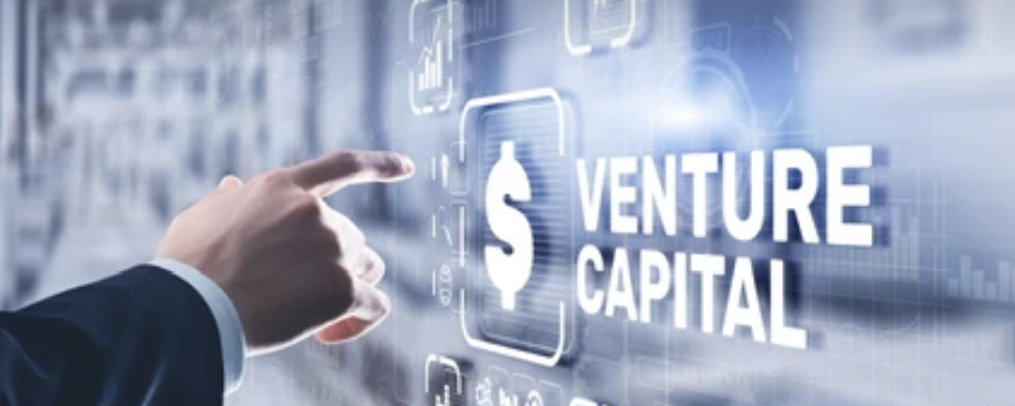 Who Is VCS For? The Investor Profile